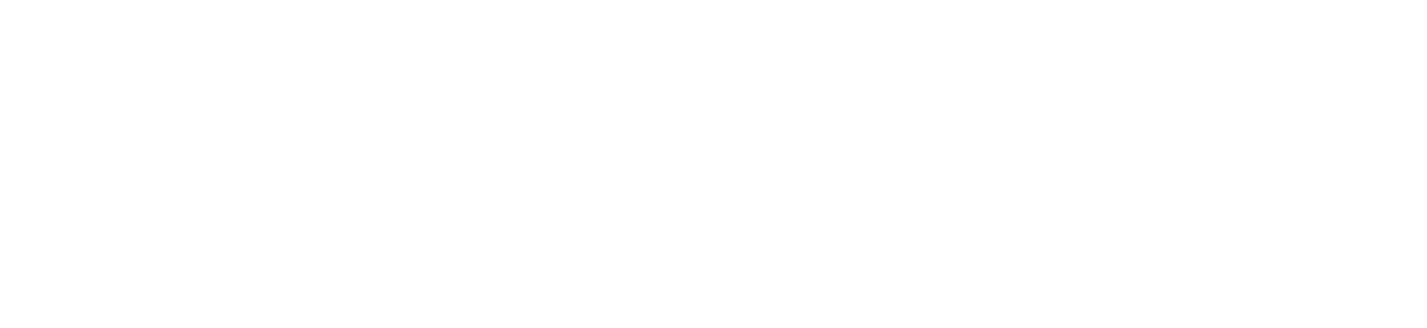 WP11
